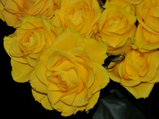 430002 (a): :1600x1200